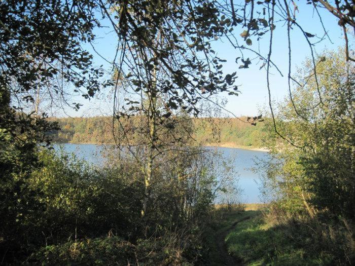 Chalet Kokomo - Gelegen In Bosrijkgebied Van Drenthe エークト エクステリア 写真