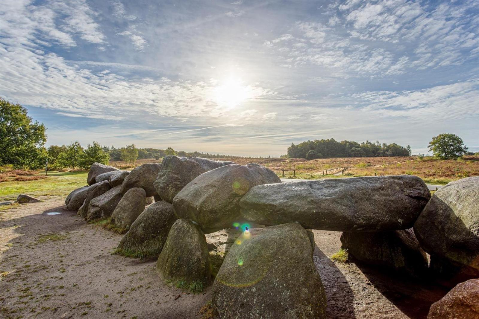 Chalet Kokomo - Gelegen In Bosrijkgebied Van Drenthe エークト エクステリア 写真